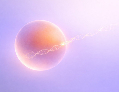 Early Pregnancy Detection Advances with Cell-Free DNA Technology by Zymo Research and STORI