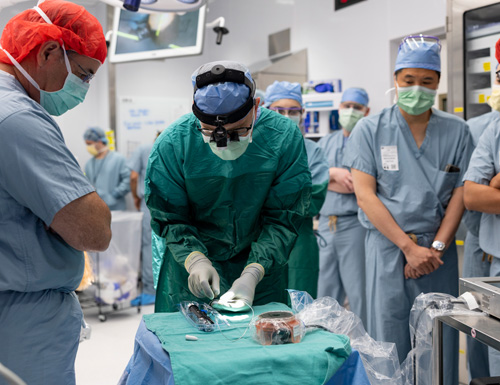 Paradromics and University of Michigan Achieve First Connexus&reg; BCI Implantation for FDA-Approved Connect-One Trial