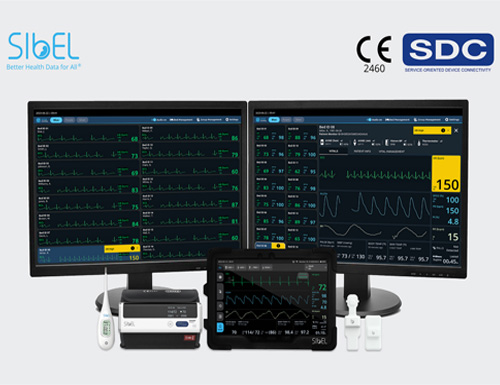 ANNE&reg; One, the first wireless wearable patient monitoring platform certified to key interoperability standards, receives EU MDR Class IIb CE Mark from Sibel Health