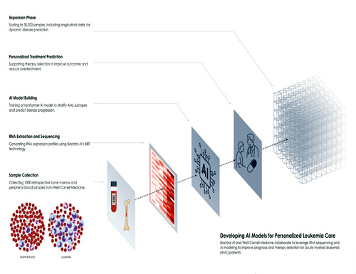 Weill Cornell Medicine and Biostate AI Collaborate to Develop AI Models for Personalized Leukemia Care