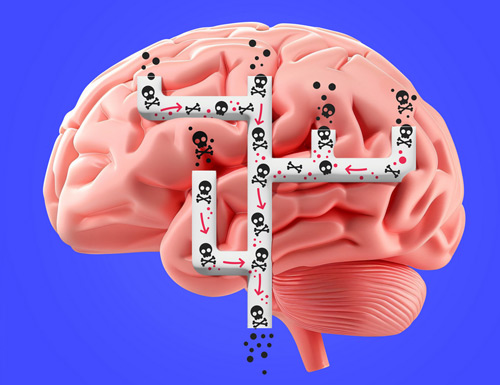 Brain Cleaning Once Thought to Occur Only During Sleep Now Achieved During Wakefulness