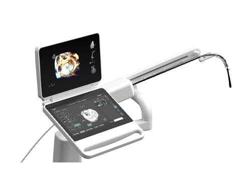 The Laza Medical System 