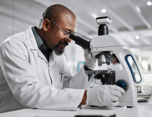 Maryland Stem Cell Research 